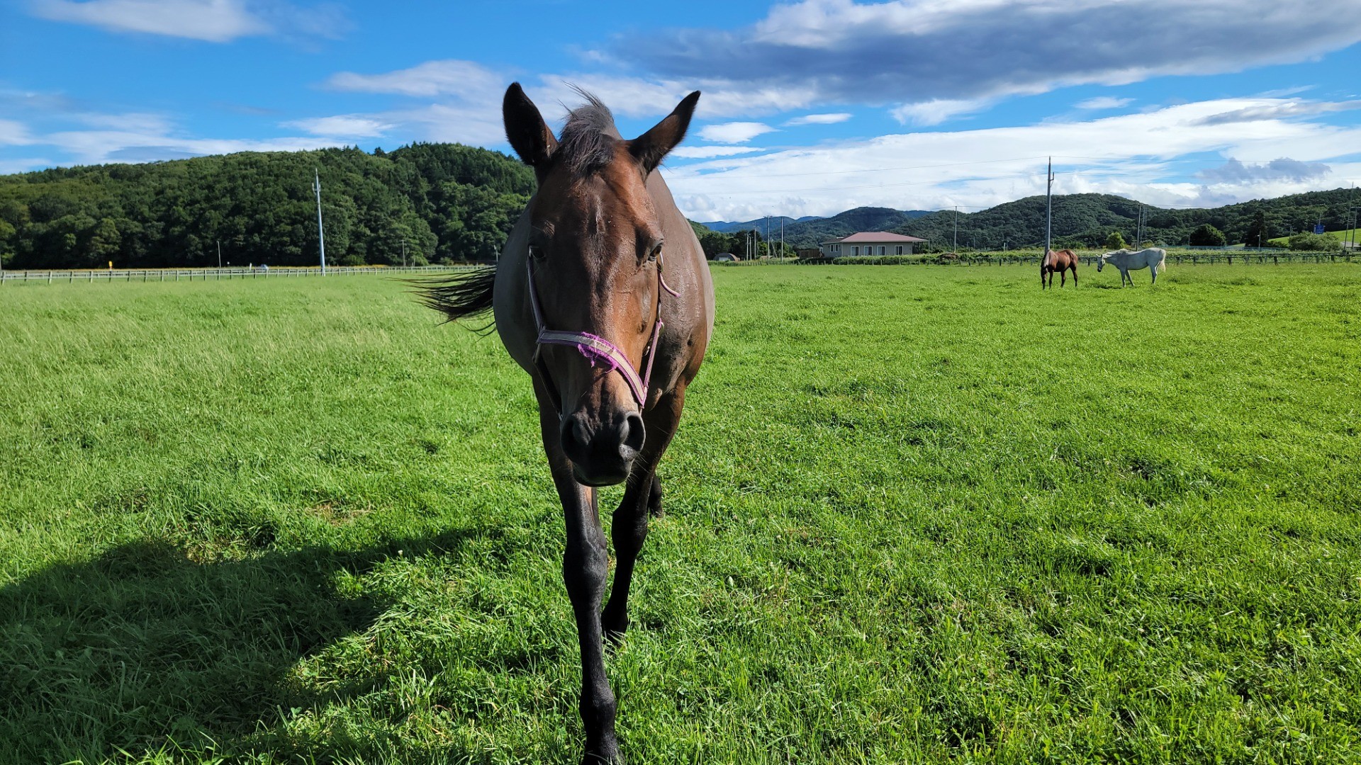 ab85fdf08694f9b6ad3f9da5d9f630b9-1760933830.jpg ab85fdf08694f9b6ad3f9da5d9f630b9-1760933830.jpg